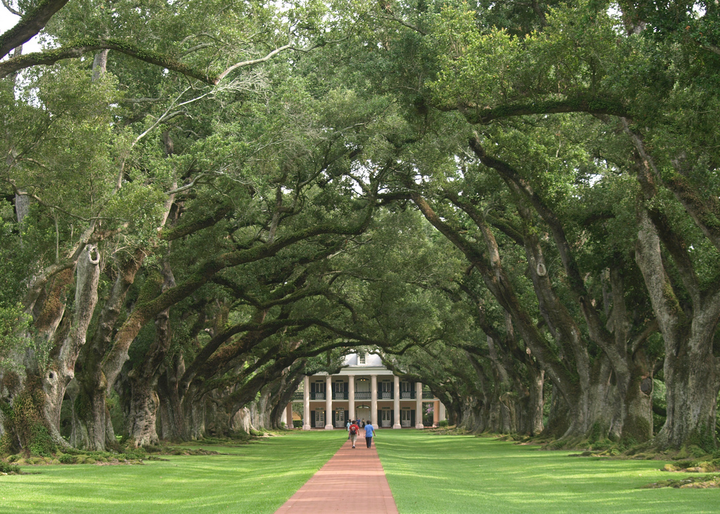 View of the antebellum Oak Alley Plantation house framed by 300-year-old oak trees